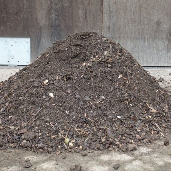 Fertiger Kompost, der nur noch gesiebt wird Fertiger Kompost, der nur noch gesiebt wird